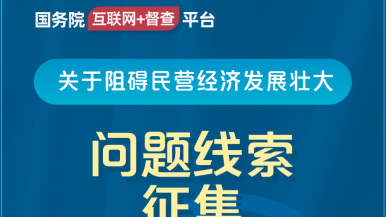 男女H黄动漫啪啪无遮挡软件国务院“互联网+督查”平台公开征集阻碍民营经济发展壮大问题线索